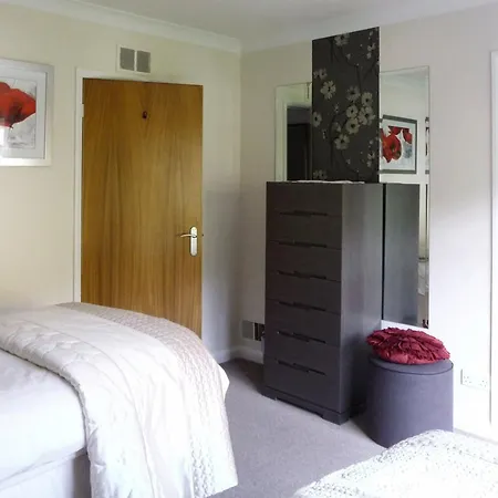 Badgers Rake 12 Squirrels Nest *