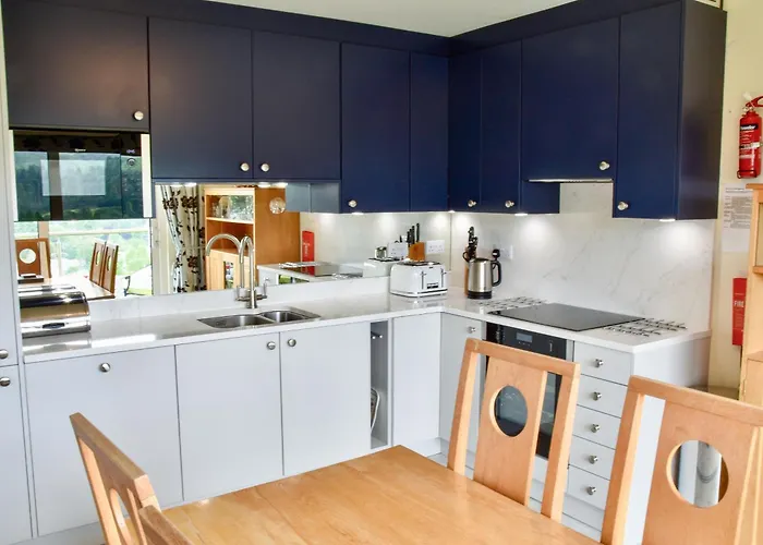 Badgers Rake 12 Squirrels Nest