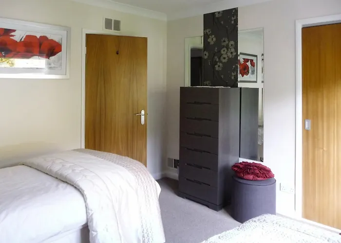 Badgers Rake 12 Squirrels Nest *