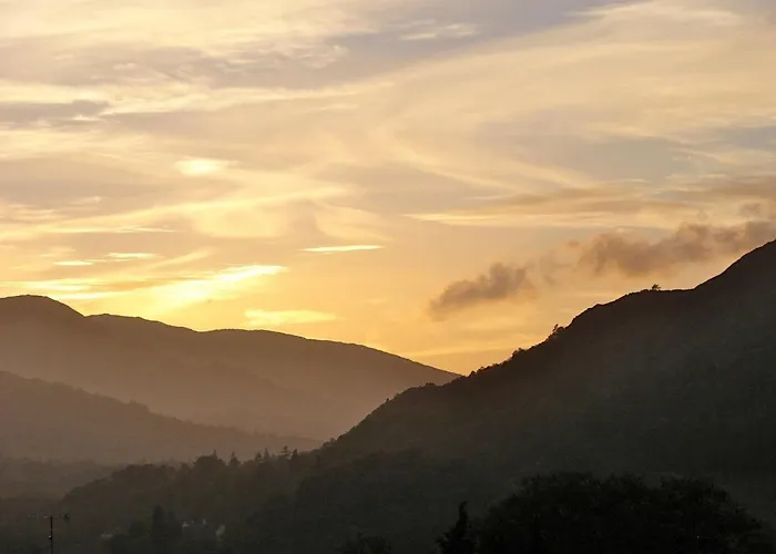 Badgers Rake 12 Squirrels Nest *